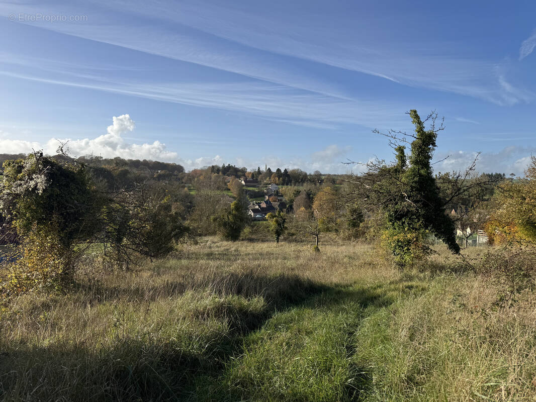 Terrain à TOEUFLES