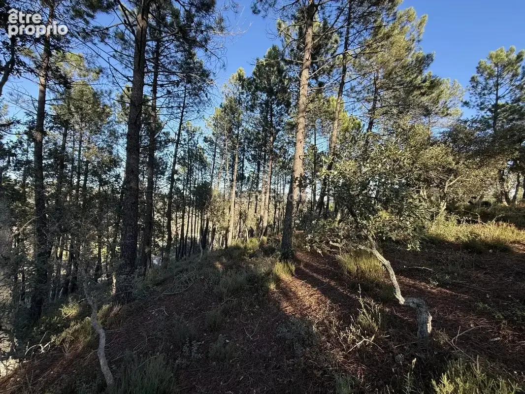Vente Terrain Vidauban(83550) 130 000ï¿œ - photo 5