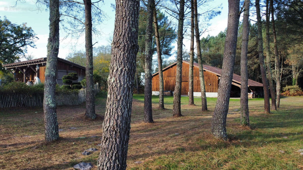 Photo 7 - Maison à LOSSE