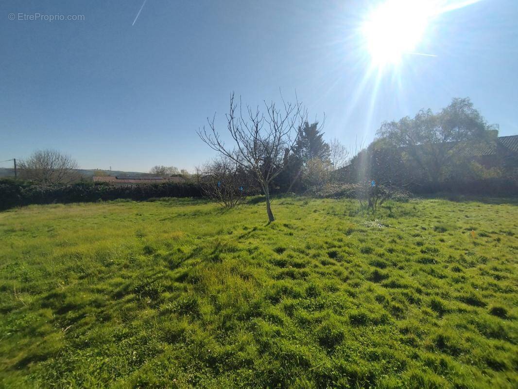 Terrain à LA MAGDELAINE-SUR-TARN