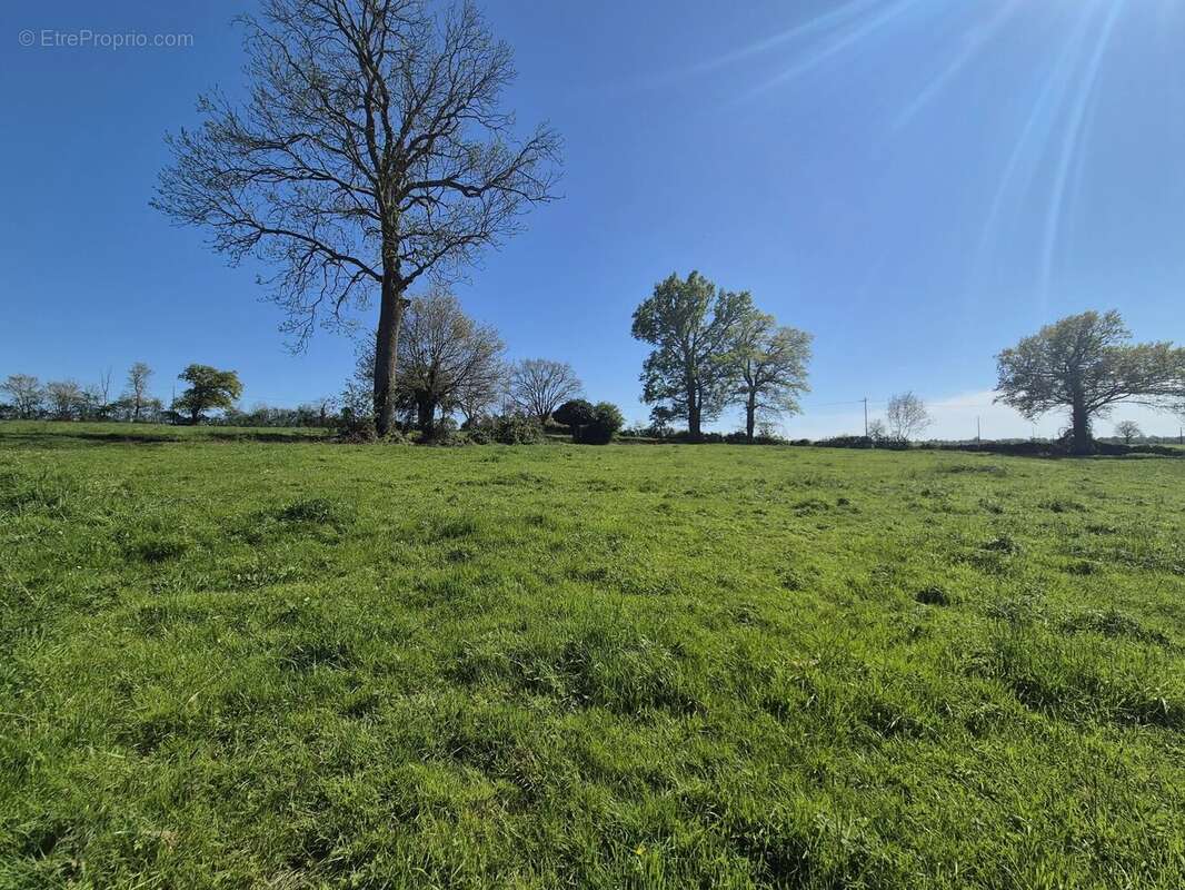 Maison à LOIGNE-SUR-MAYENNE