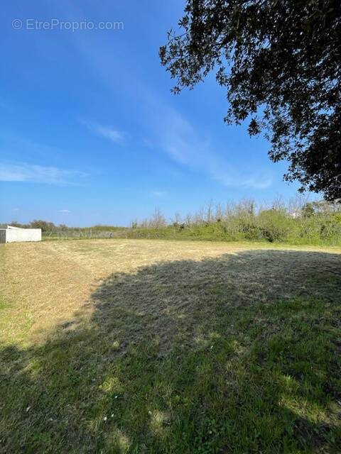 Terrain à L'EPINE