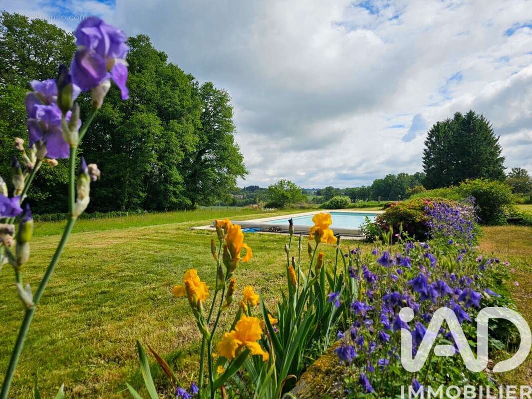 Photo 2 - Maison à CUSSAC