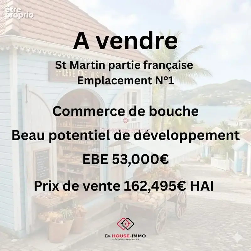 Commerce 33 m² à vendre à Saint-Martin (97150) - photo 7