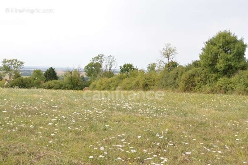 Terrain à construire à vendre  ALLIGNY COSNE (58200) - photo 4