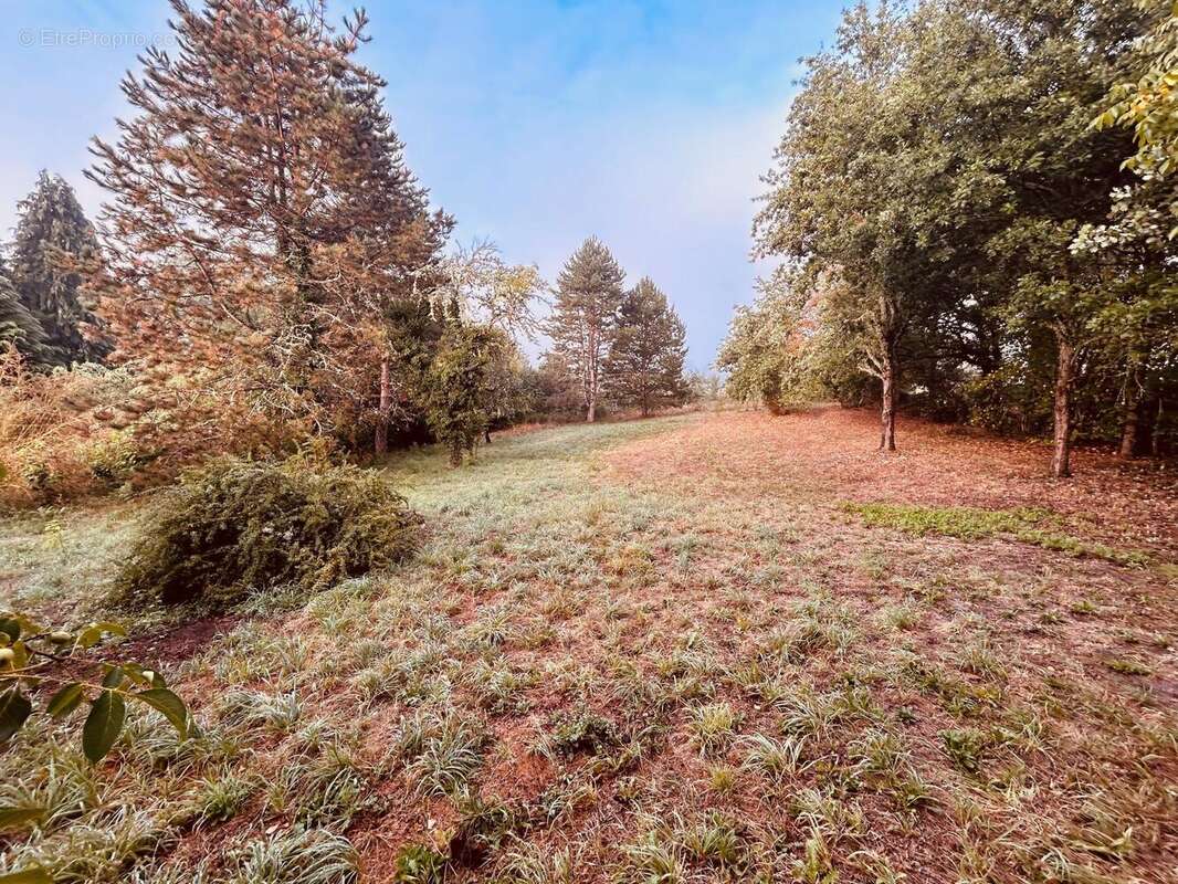 Photo 4 - Maison à SAINT-AMAND