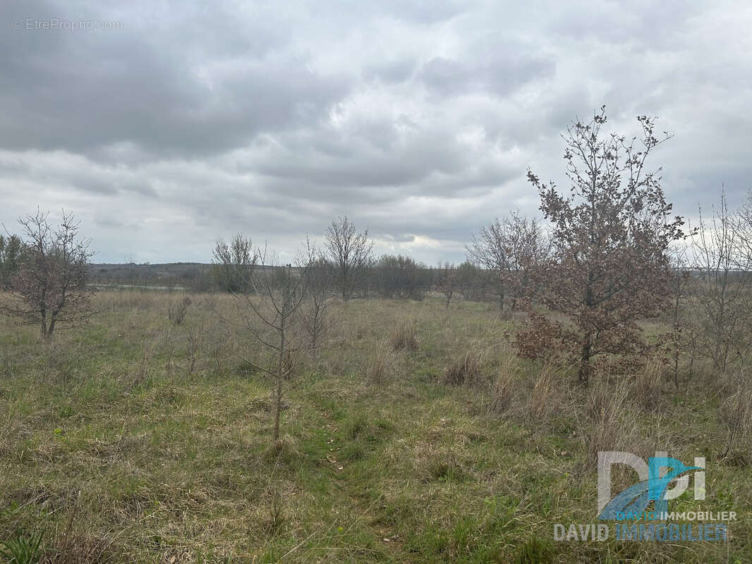 Terrain agricole de 3500 m2 - photo 2