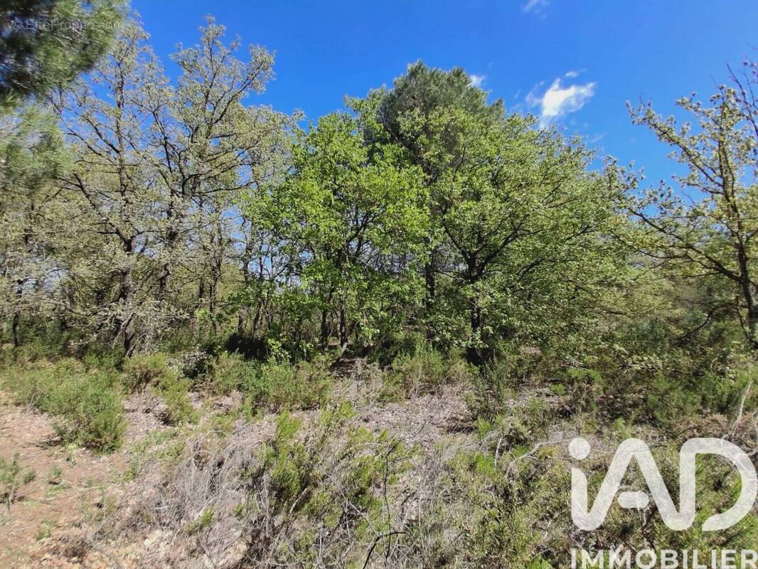 Photo 1 - Terrain à CANET-EN-ROUSSILLON