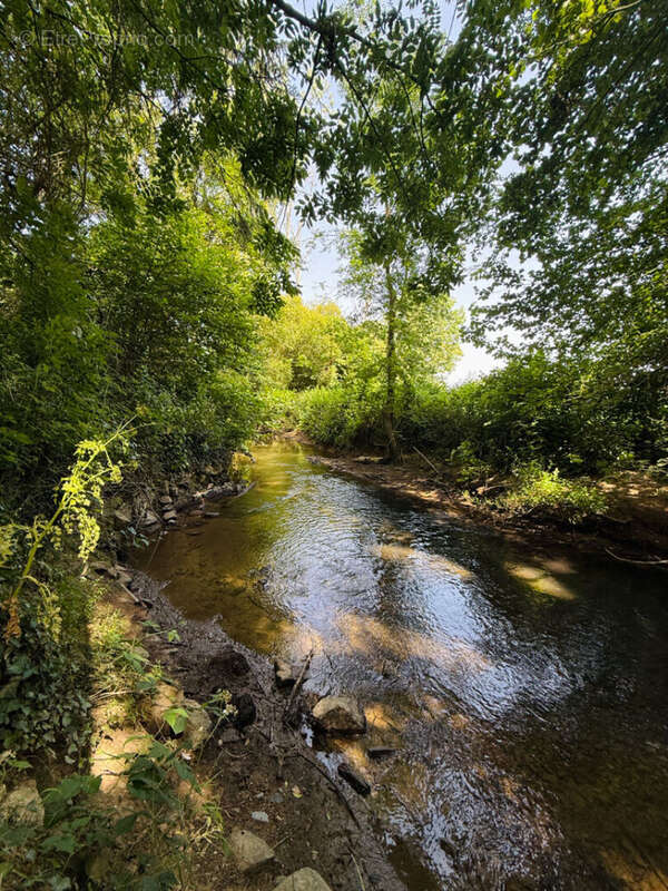 Etrelles - exclusivite - longere - photo 5