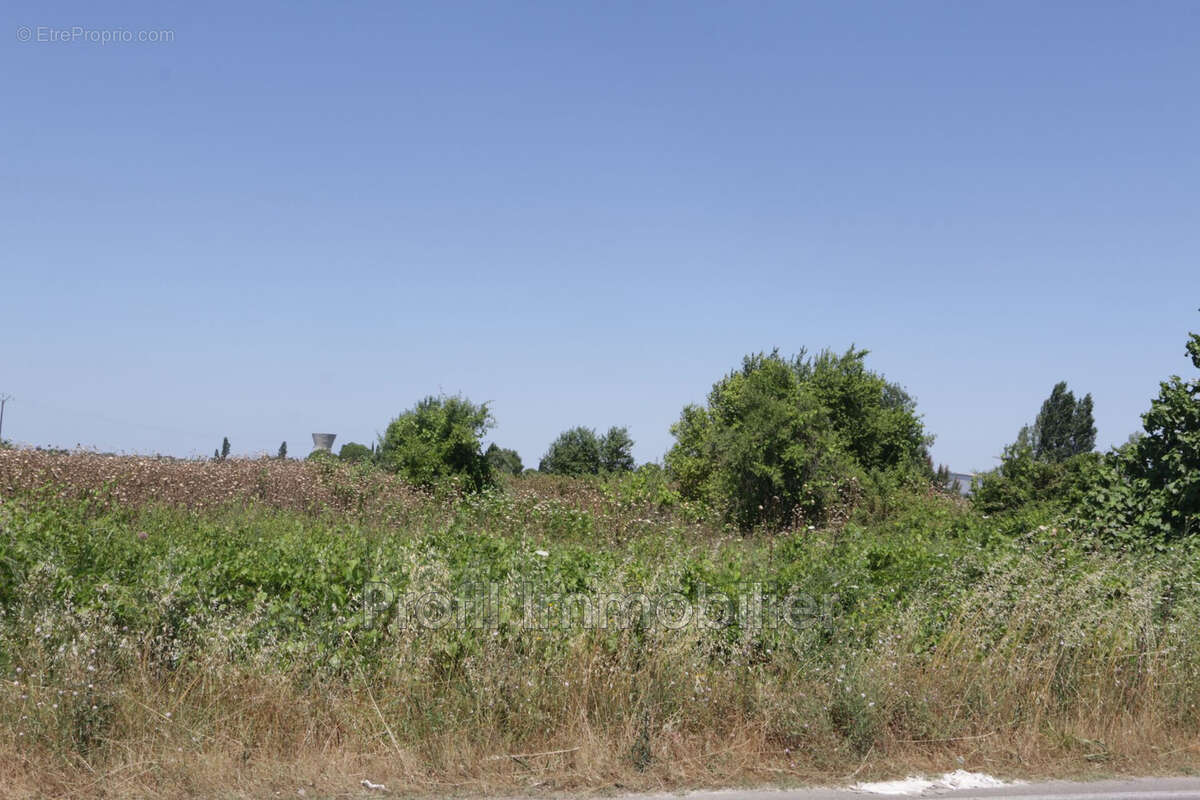 Terrain à MARSILLARGUES