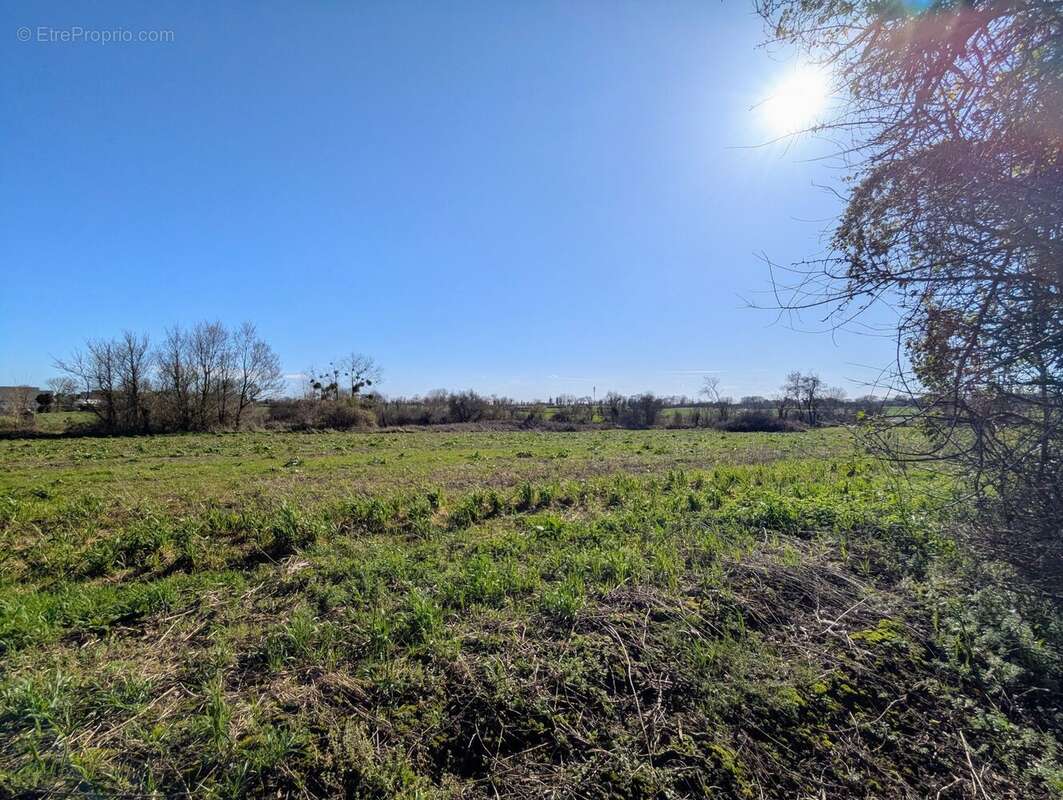 Terrain à GRANDCAMP-MAISY