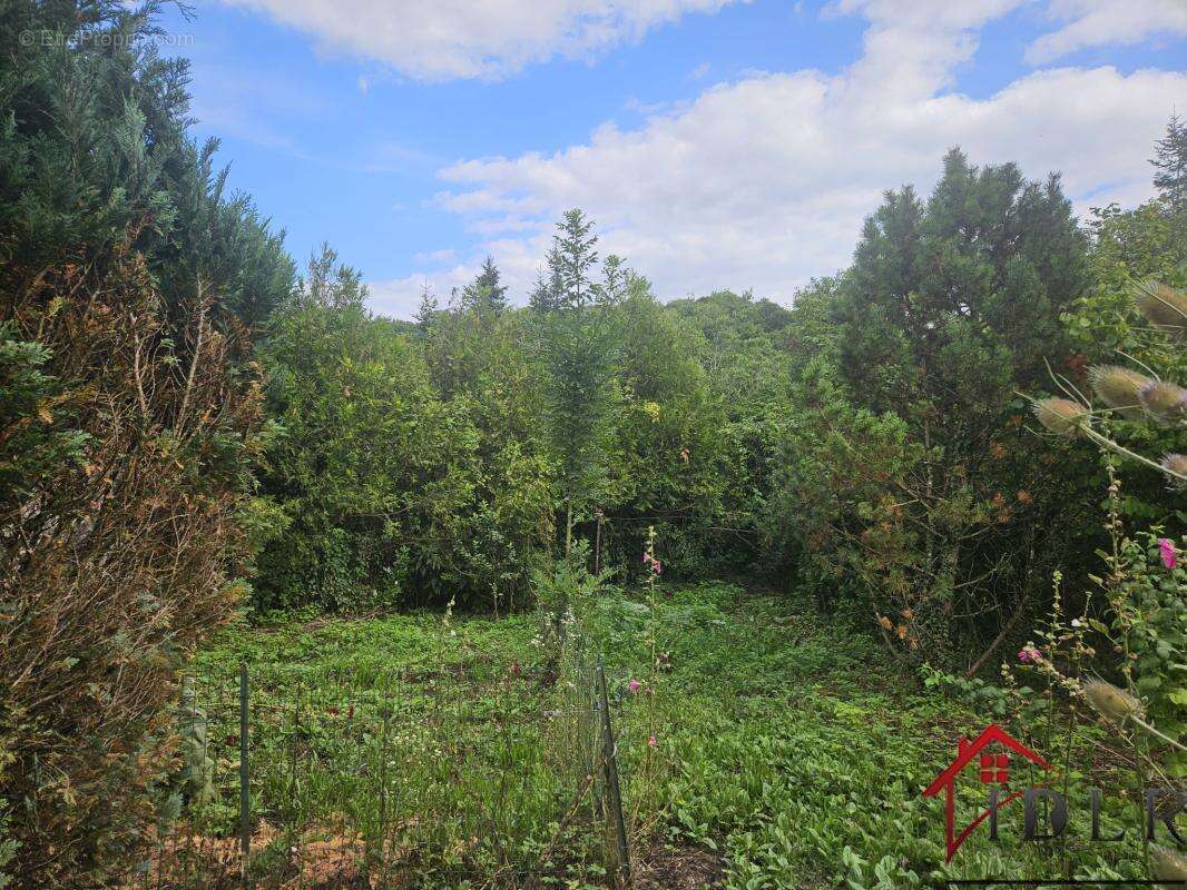 Maison à BOURBONNE-LES-BAINS