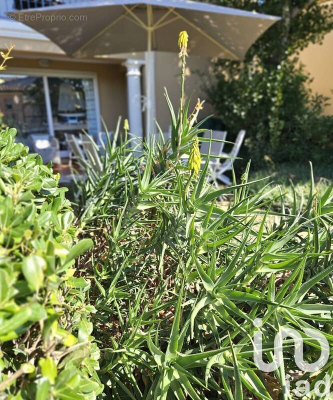 Photo 1 - Appartement à SAINTE-MAXIME