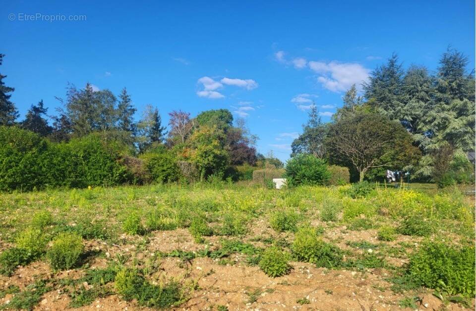 Terrain 635 m² à Auffargis  - photo 1