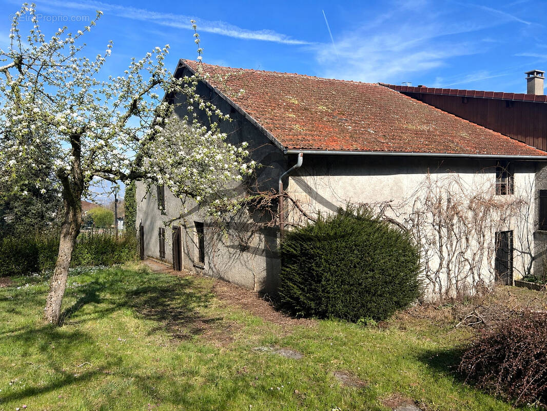 Maison à NEYDENS