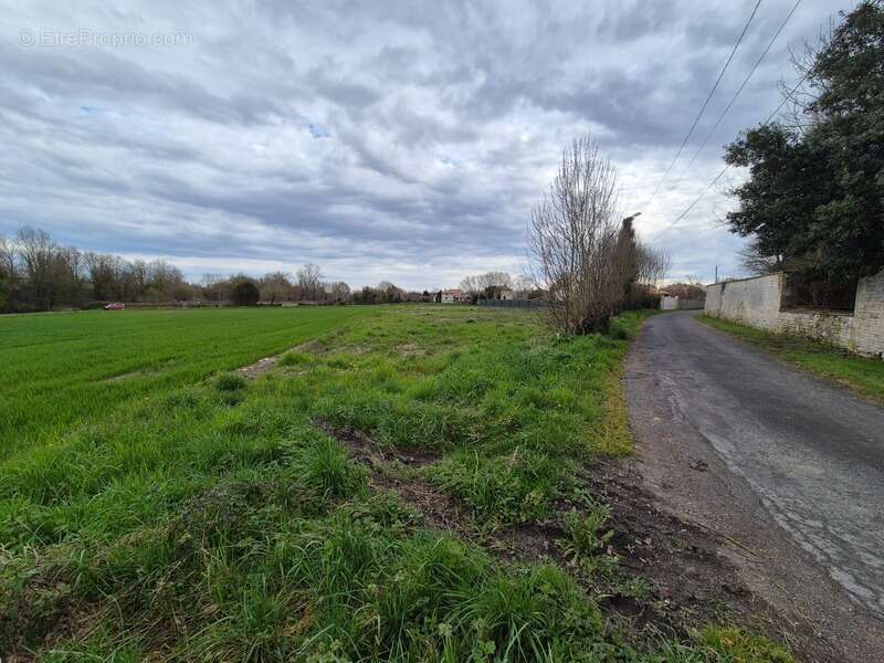 Terrain à FRONTENAY-ROHAN-ROHAN