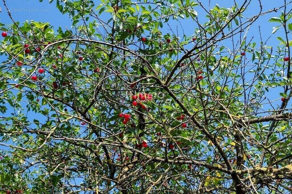 Terrain à CHALONS-EN-CHAMPAGNE