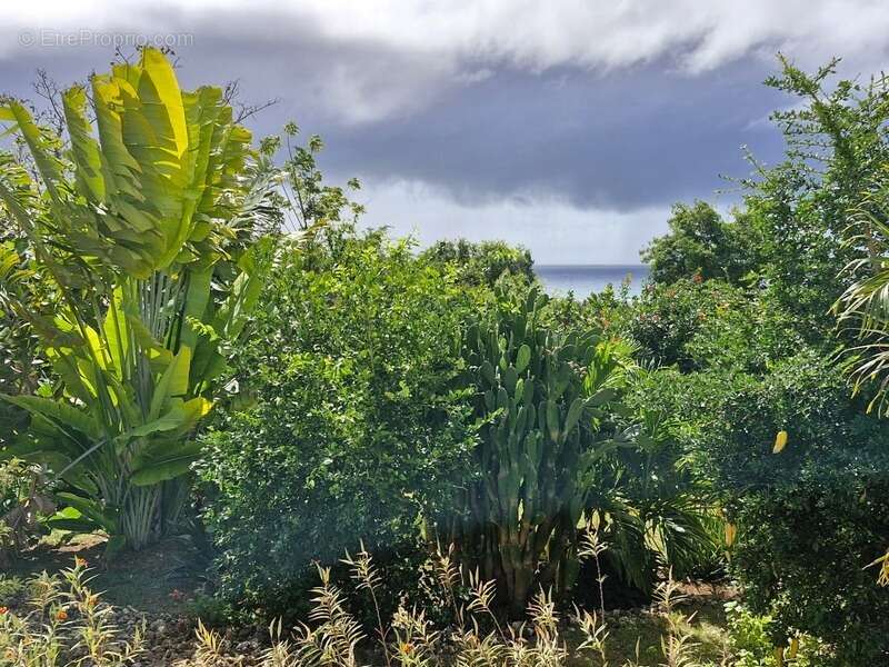 Maison à GRAND-BOURG