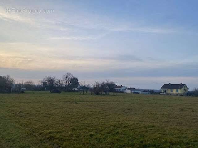 Terrain à VARENNES-SUR-ALLIER