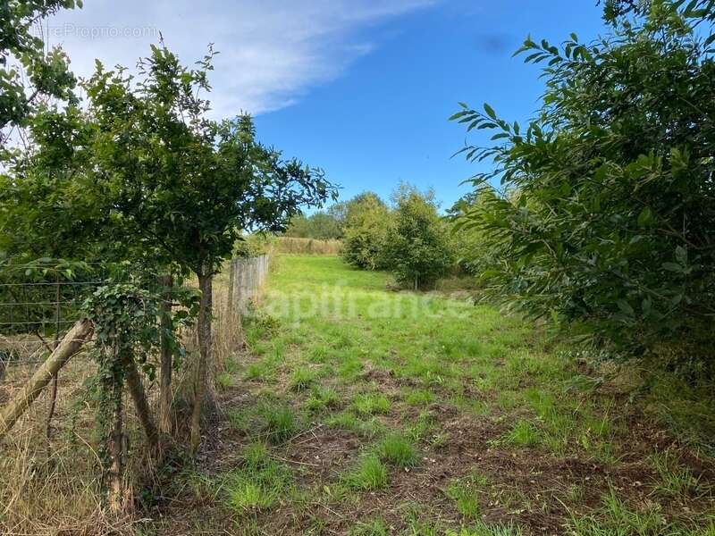 Terrain à BAIN-DE-BRETAGNE