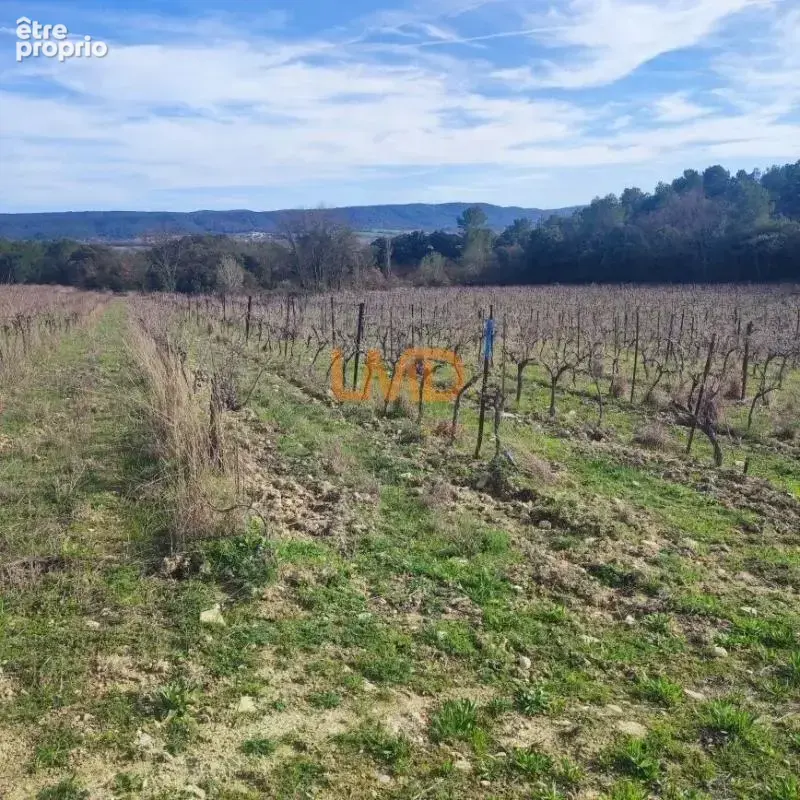 Terrain Agricole et de Loisir - Nature et grand espace - photo 4