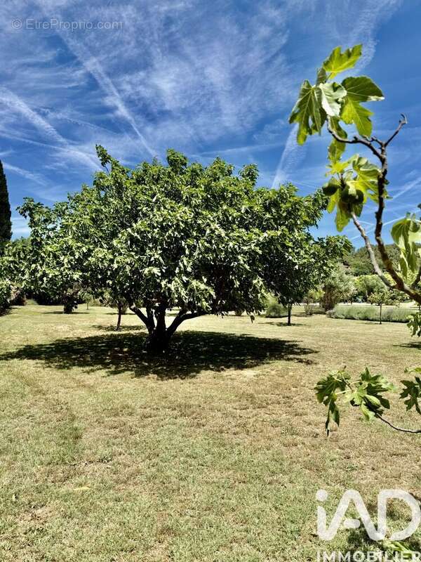 Photo 5 - Maison à LE CANNET-DES-MAURES
