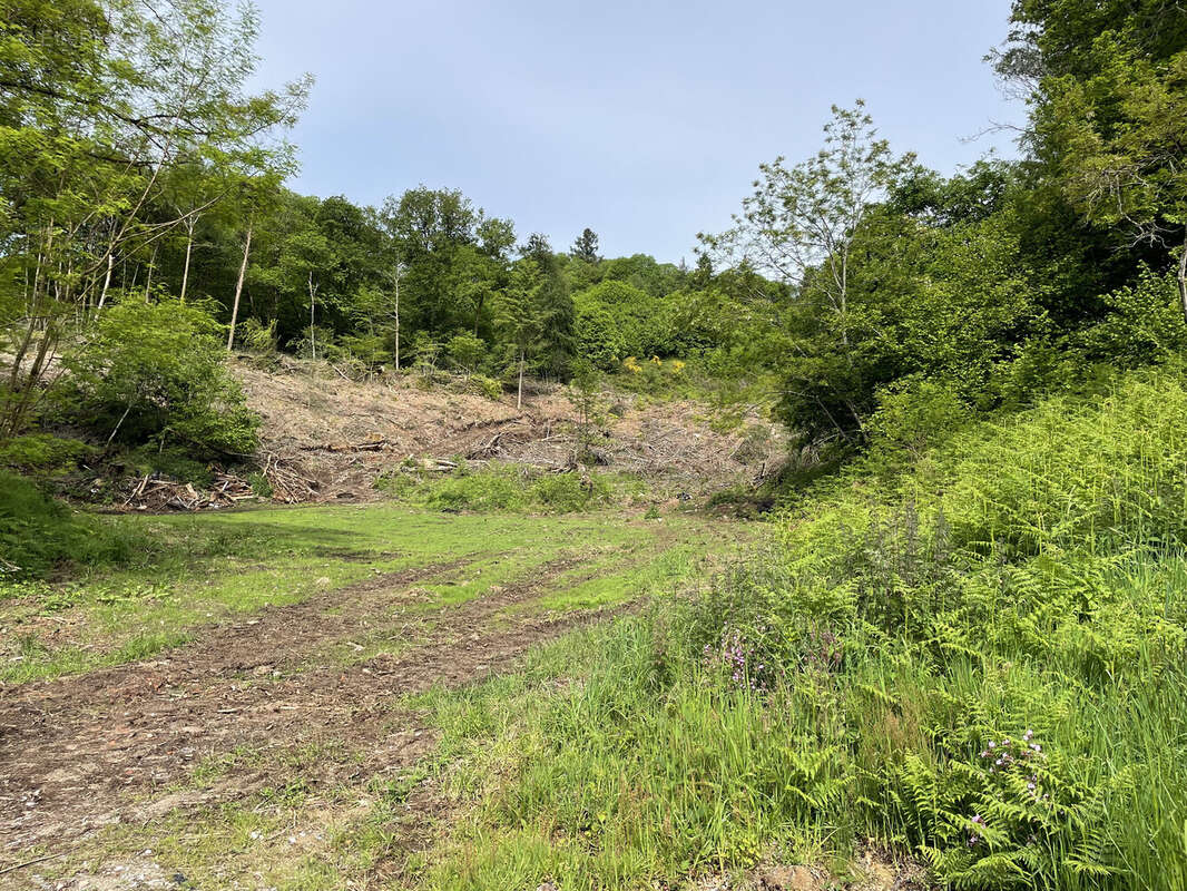 Maison à SAINT-GOUSSAUD