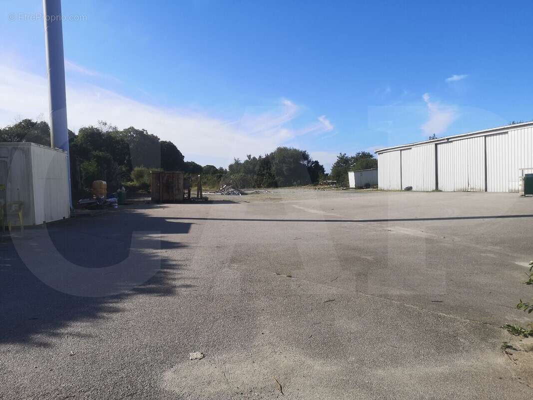 Autre à TREVE