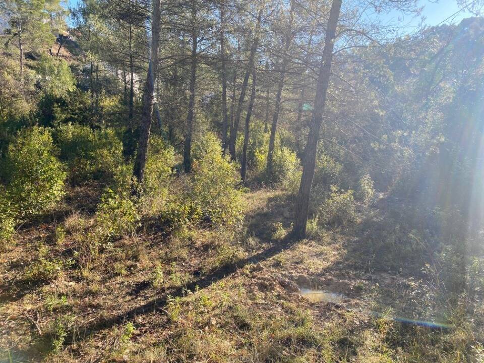 Terrain à BRIGNOLES