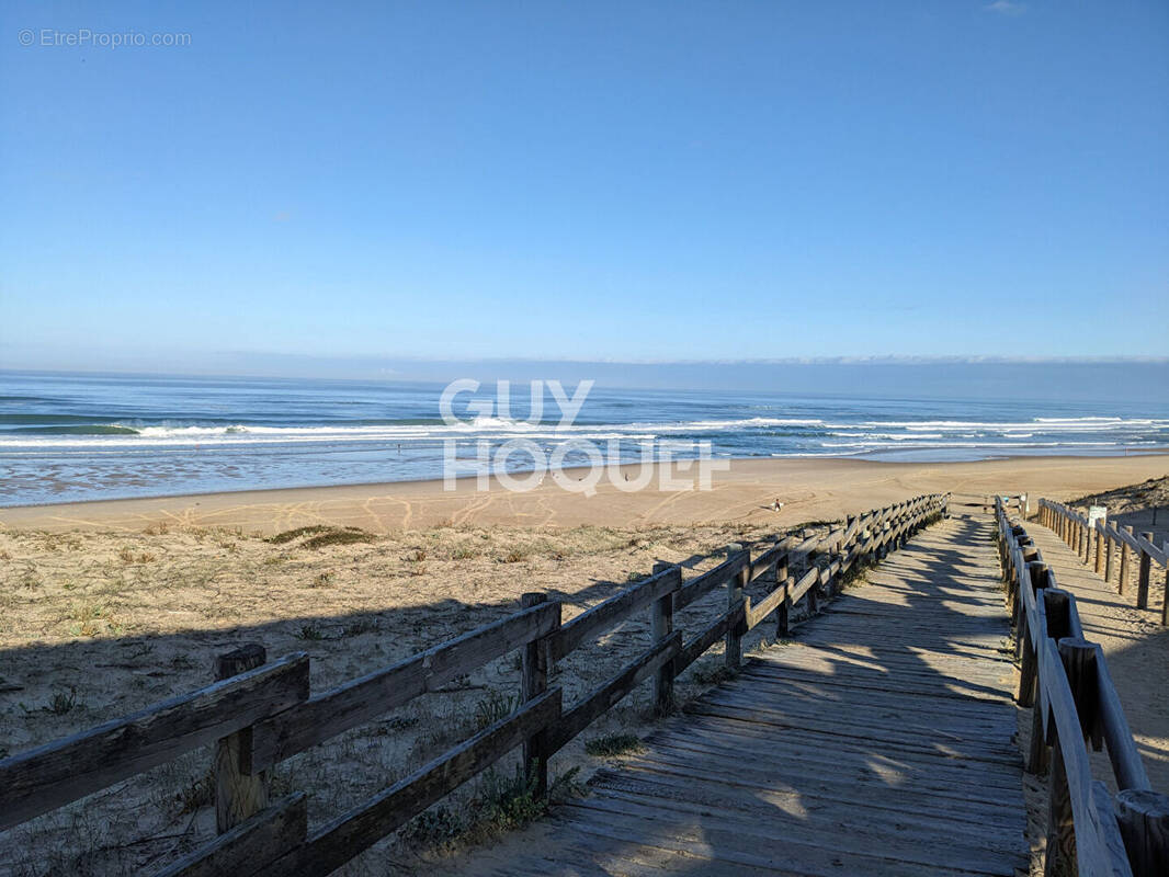 Terrain à MESSANGES