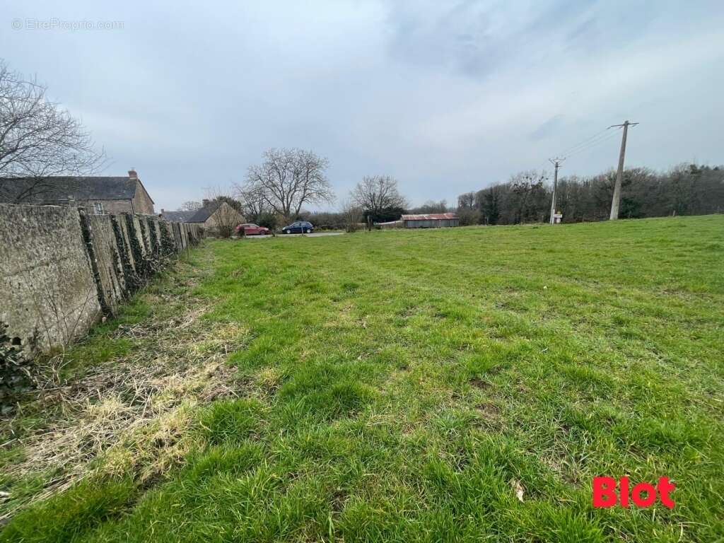 Terrain à LE PERTRE