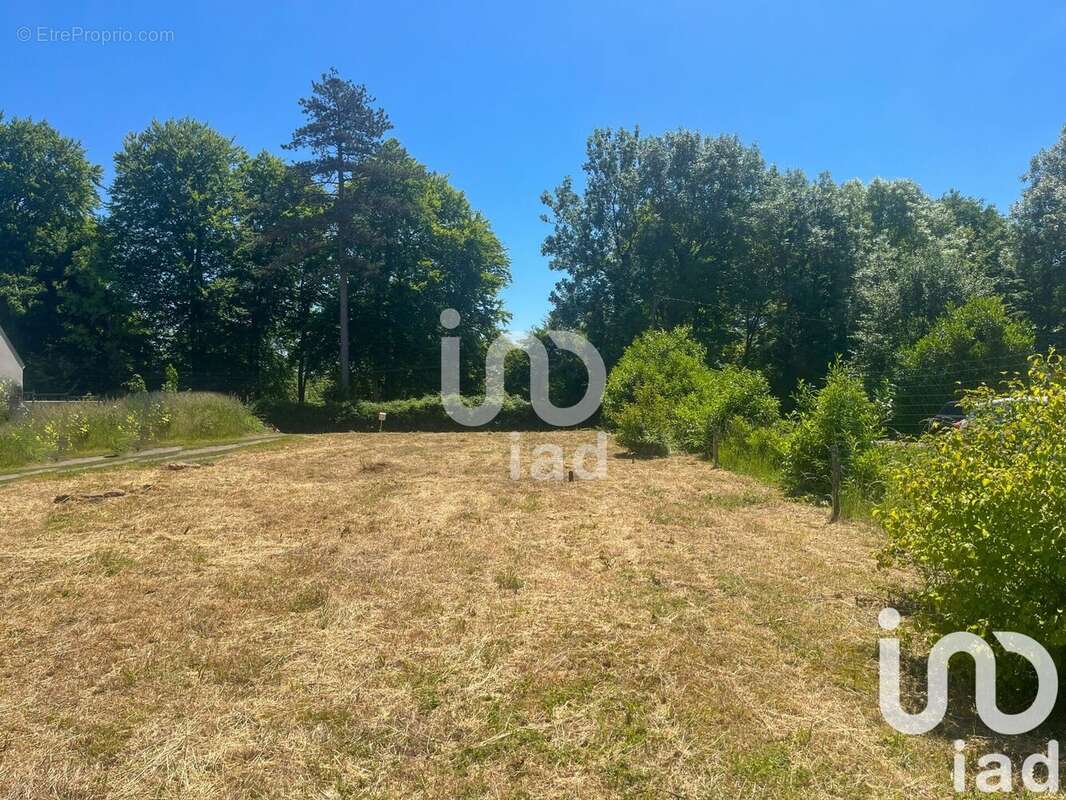 Photo 2 - Terrain à GREZ-SUR-LOING