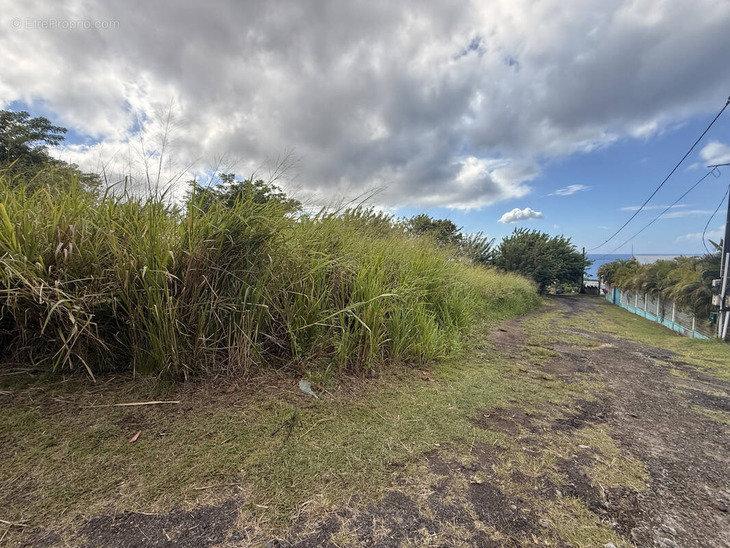 Terrain à SAINT-PIERRE