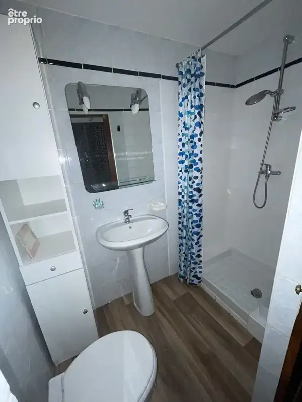 PLATEAU CENTRAL : studio vendu avec locataire en place ! - photo 6