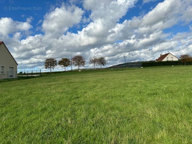 Terrain à VITTEAUX