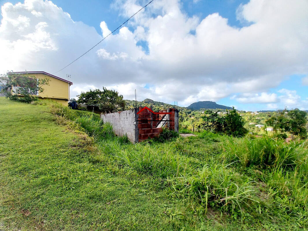 Terrain à RIVIERE-PILOTE