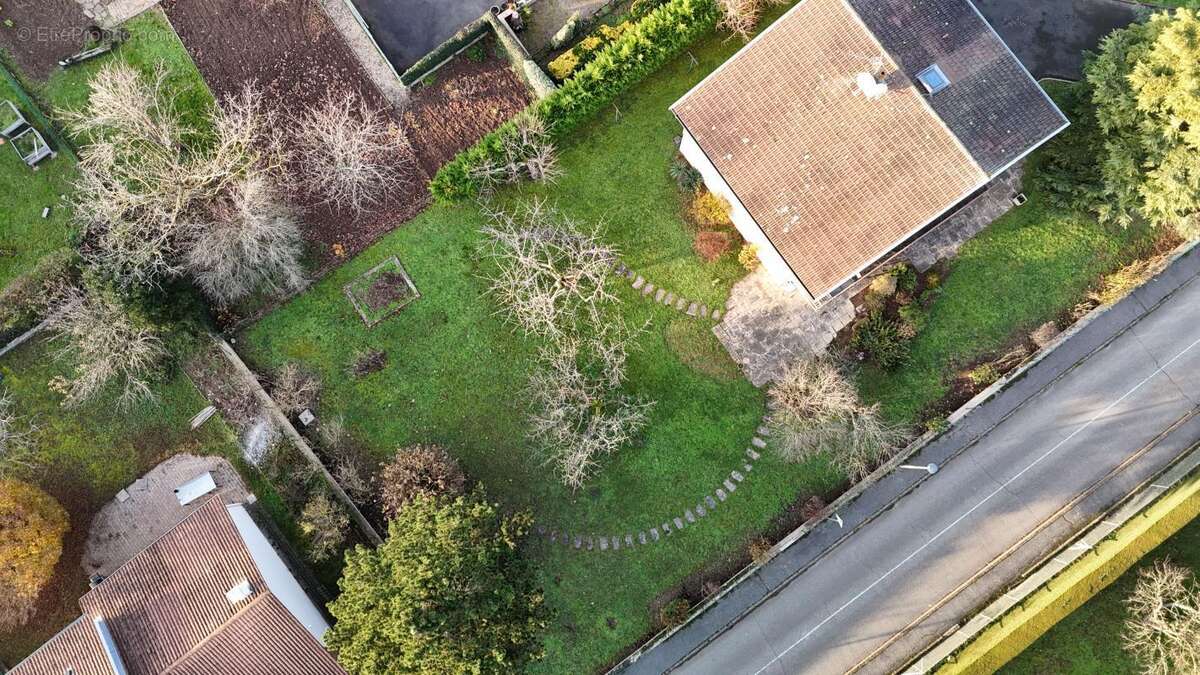 Terrain à L&#039;ARBRESLE