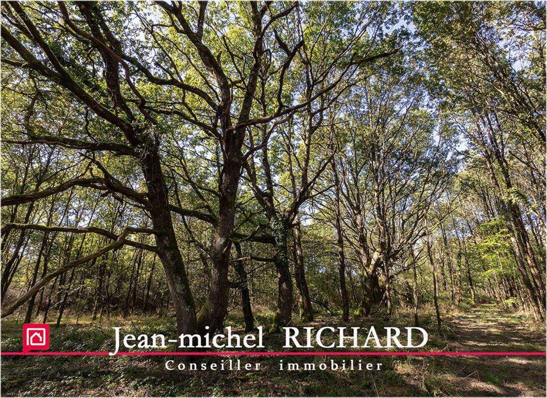 Appartement Courmemin - photo 11