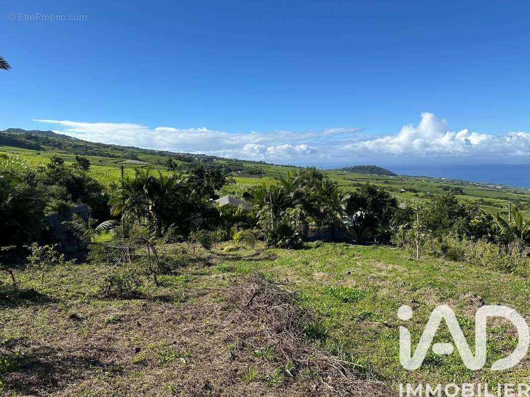 Photo 3 - Terrain à SAINT-PIERRE