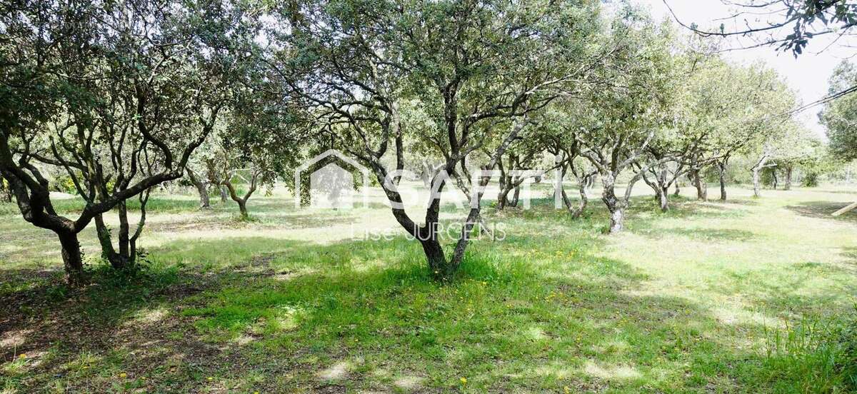 Photo 5 - Maison à VENASQUE