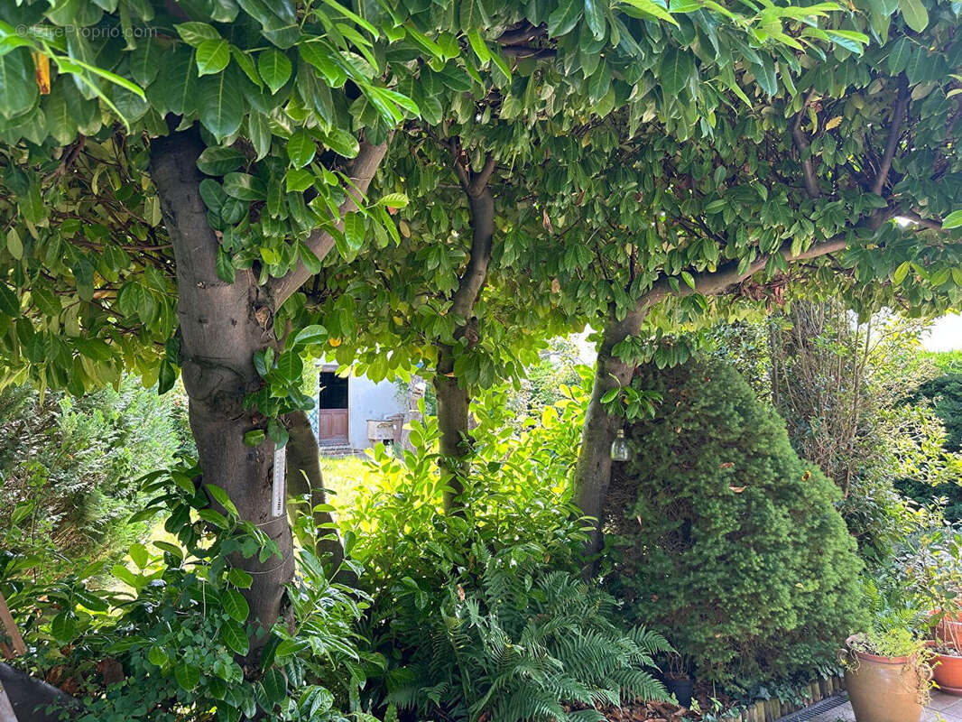 Maison à LE MESNIL-LE-ROI