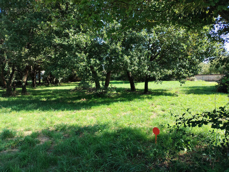 Terrain à TESSON