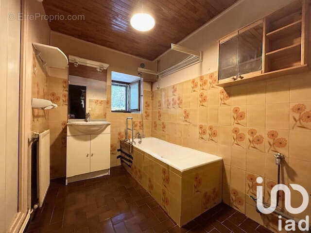 Photo 8 - Maison à LA TERRASSE