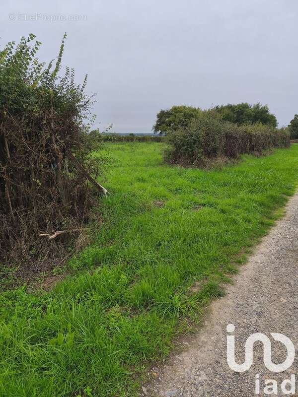 Photo 4 - Terrain à CEAULMONT
