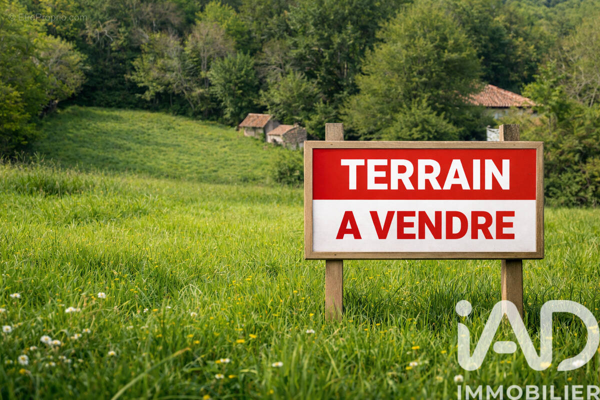 Photo 1 - Terrain à MONTESQUIEU-VOLVESTRE