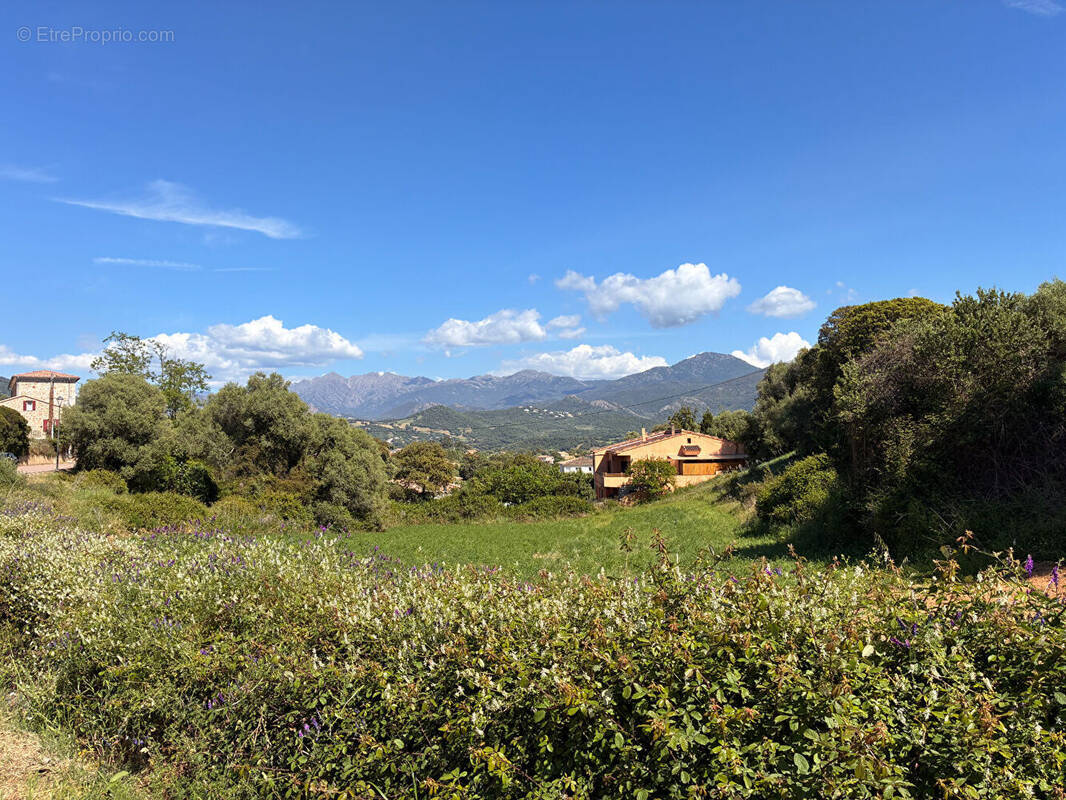 Terrain à BASTELICACCIA