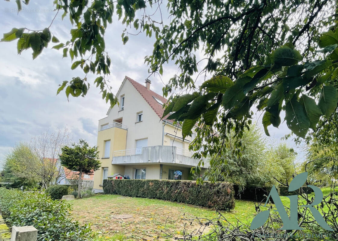 Appartement à BISCHOFFSHEIM