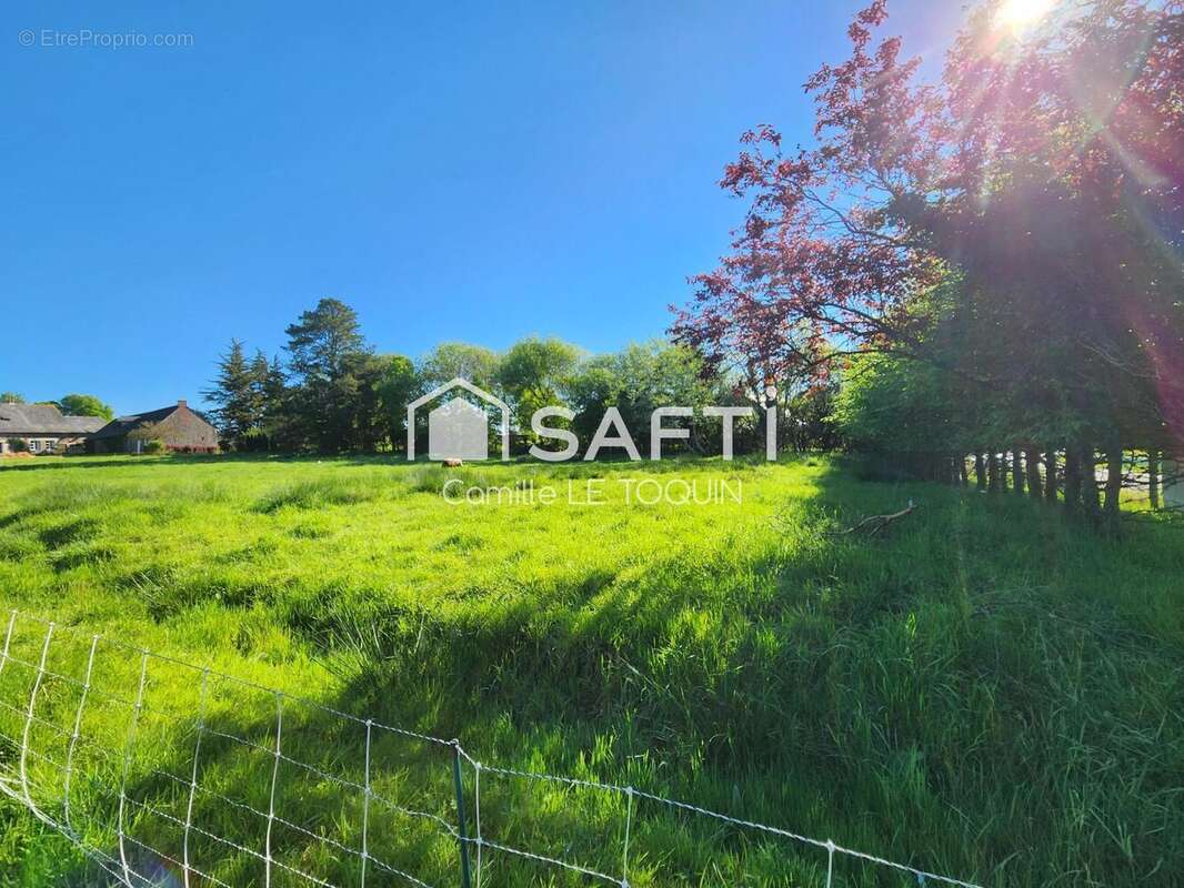 Photo 2 - Terrain à MOZE-SUR-LOUET