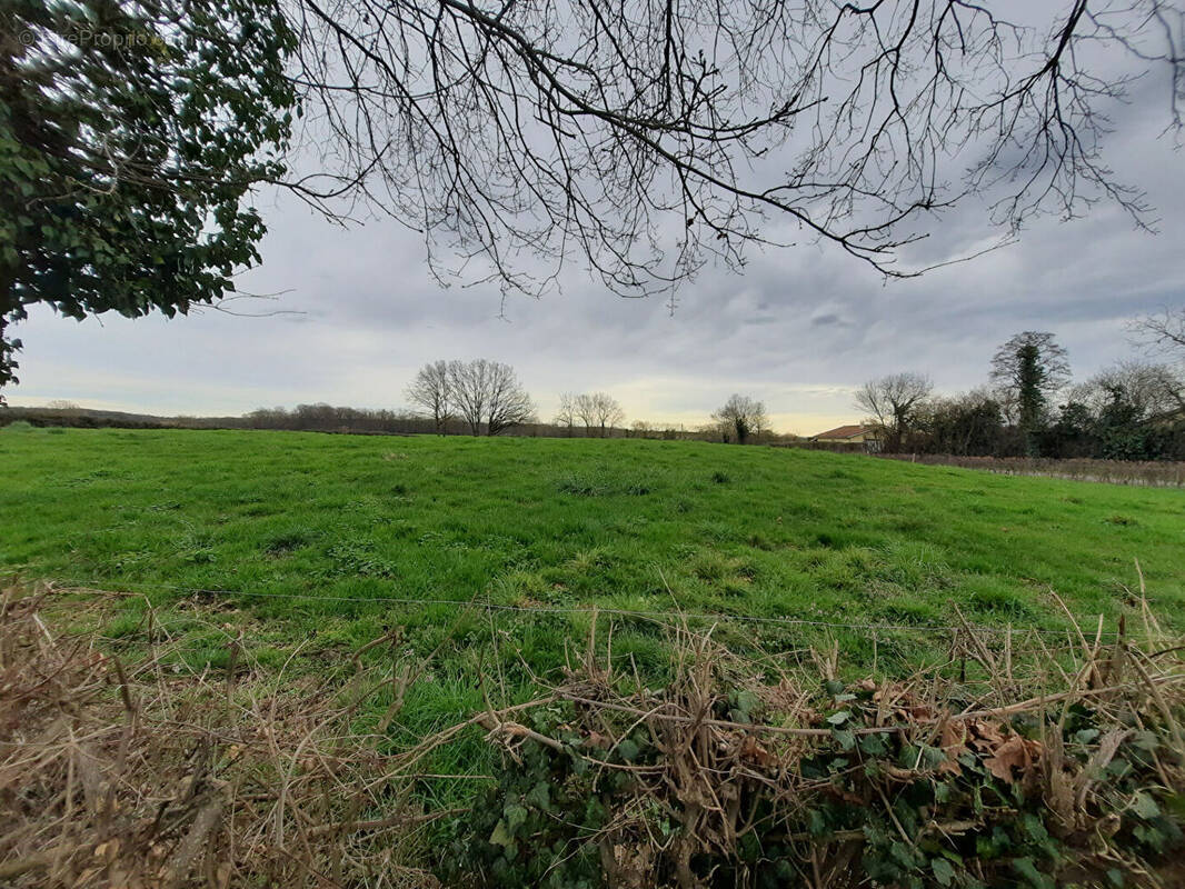 Terrain à MONTREVEL-EN-BRESSE