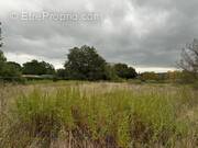 Terrain à LA BRUGUIERE